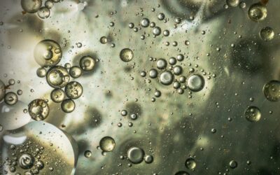 Dr. Pierre Goovaerts publishes cutting-edge research on space-time modeling of trichloroethylene in northern Michigan