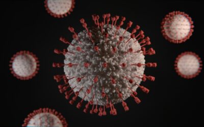 Geostatistics in Public Health: Disease Mapping