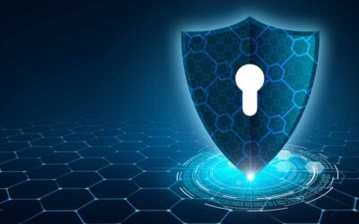Privacy Concerns with Geospatial Data
