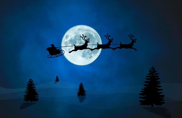 The Search, The Science, and the Santa Sightings