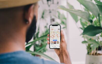 What’s The Difference Between Google Maps, GIS, and Vesta?