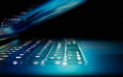 How Vesta Protects Your Data: Security & Privacy Overview