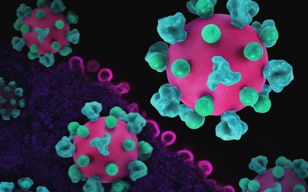 Antimicrobial-Resistant Infections in Vesta